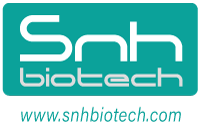 Company Name