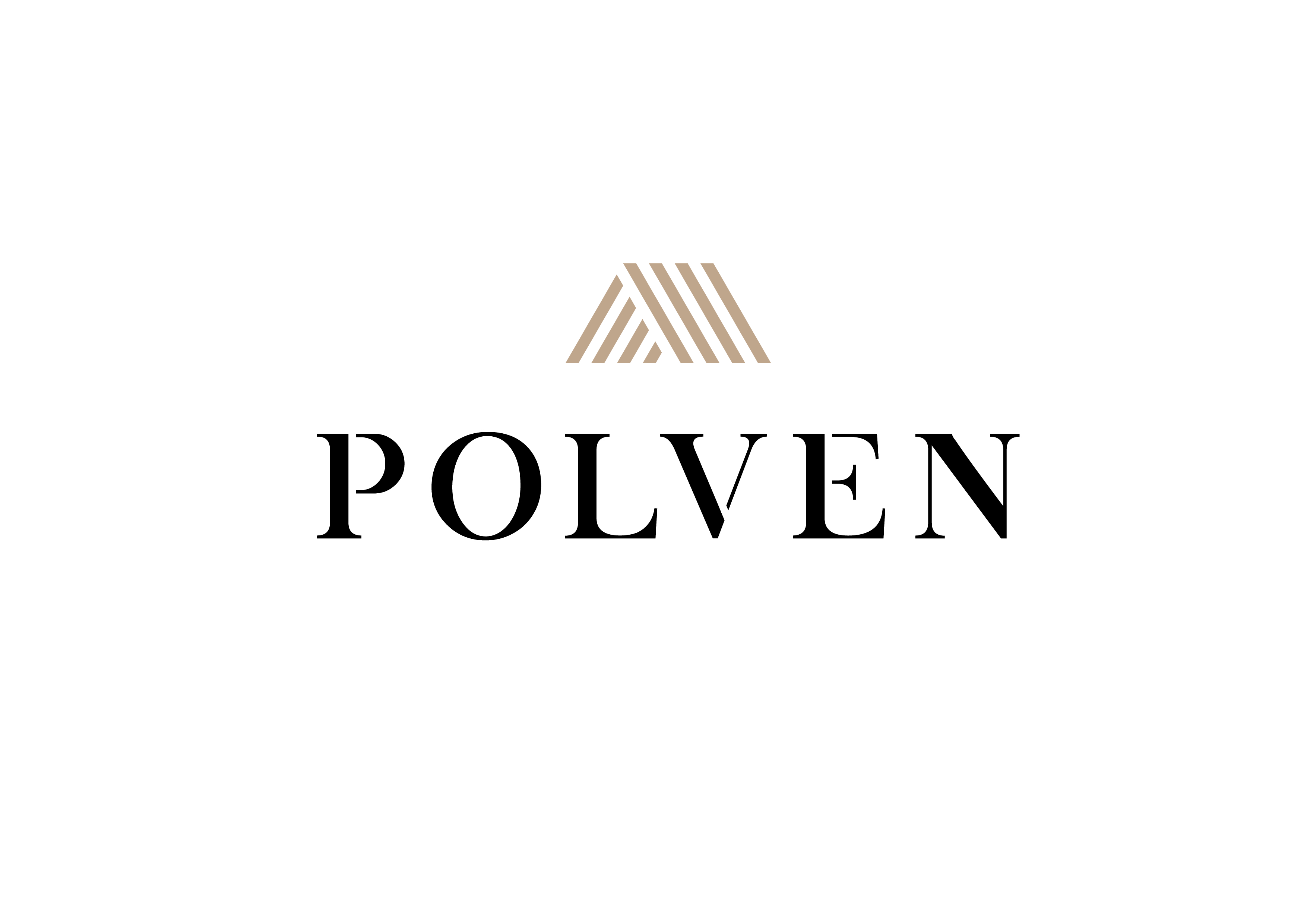 Company Name