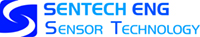 Company Name