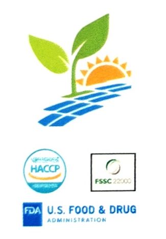 Company Name
