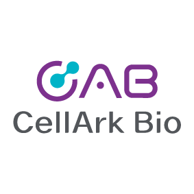 Company Name