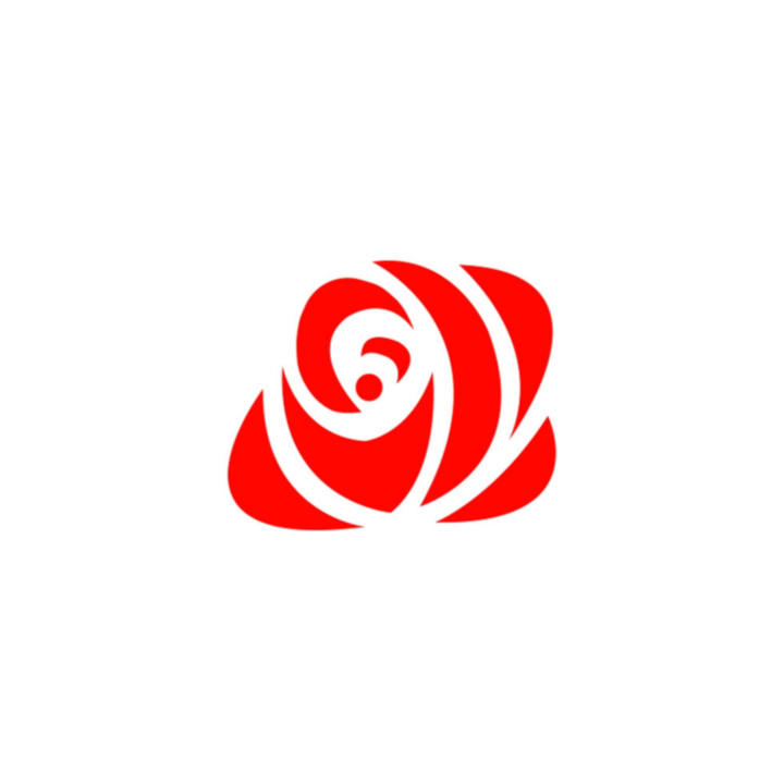Company Name