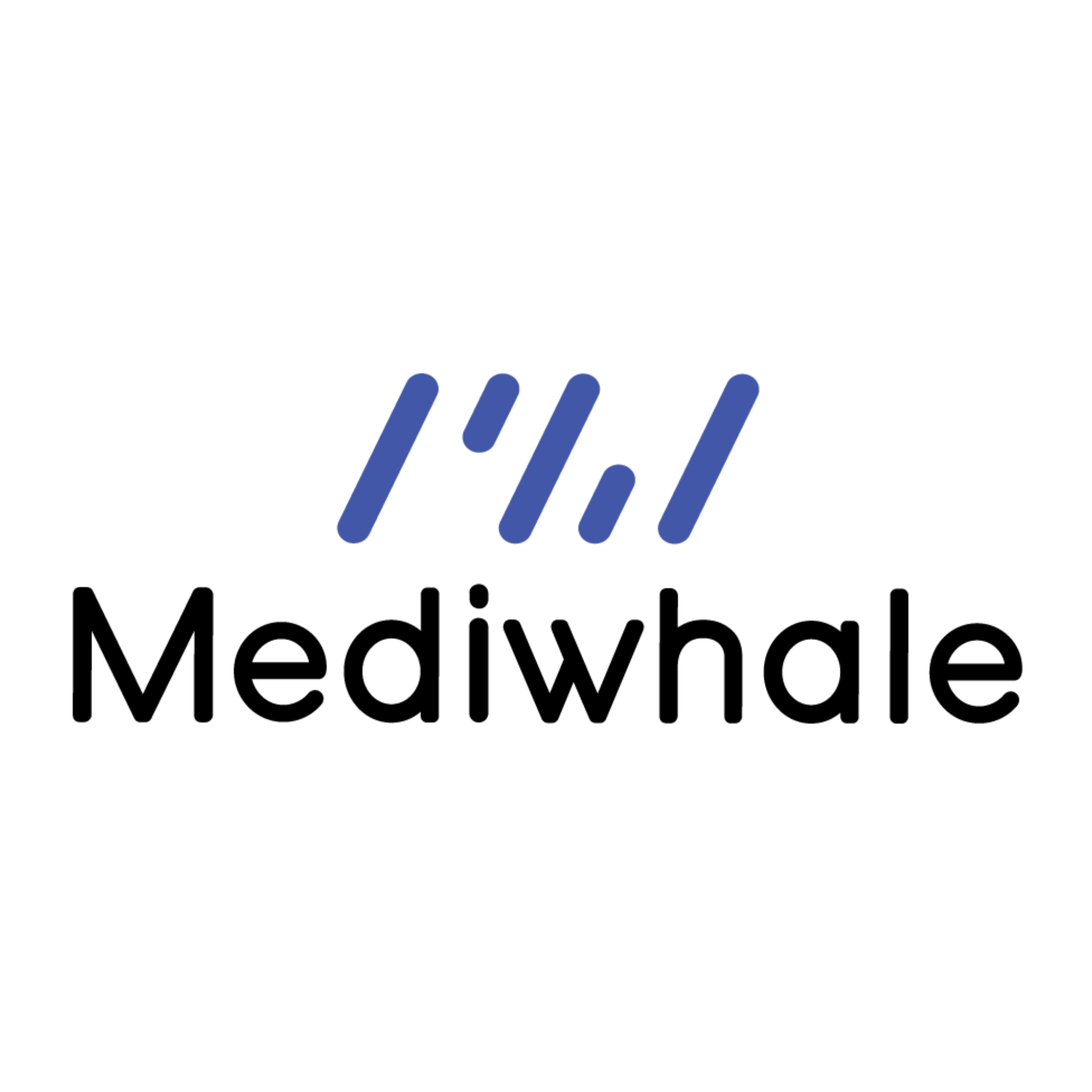 Company Name