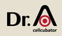 Company Name