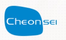 Company Name
