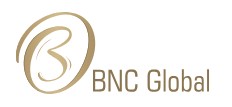 Company Name