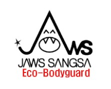 Company Name
