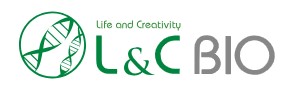 Company Name
