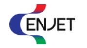 Company Name
