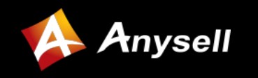 Company Name
