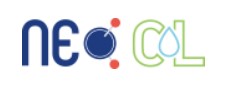 Company Name