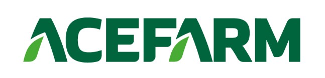 Company Name