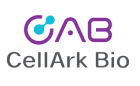 Company Name
