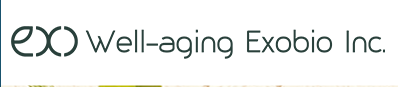 Company Name