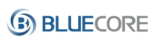 Company Name