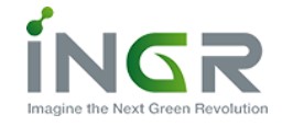 Company Name