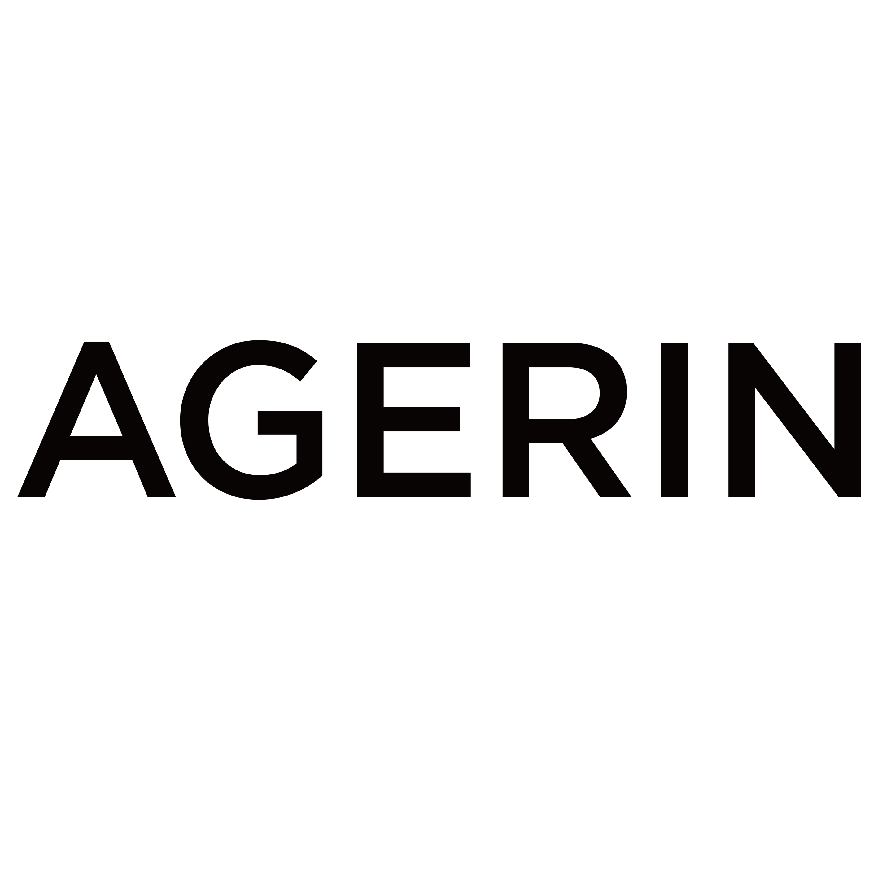 Company Name
