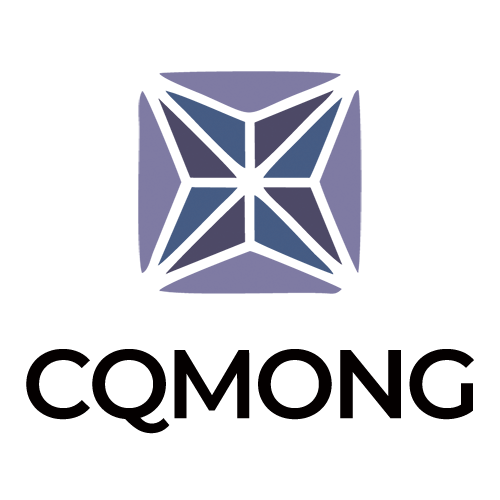 Company Name