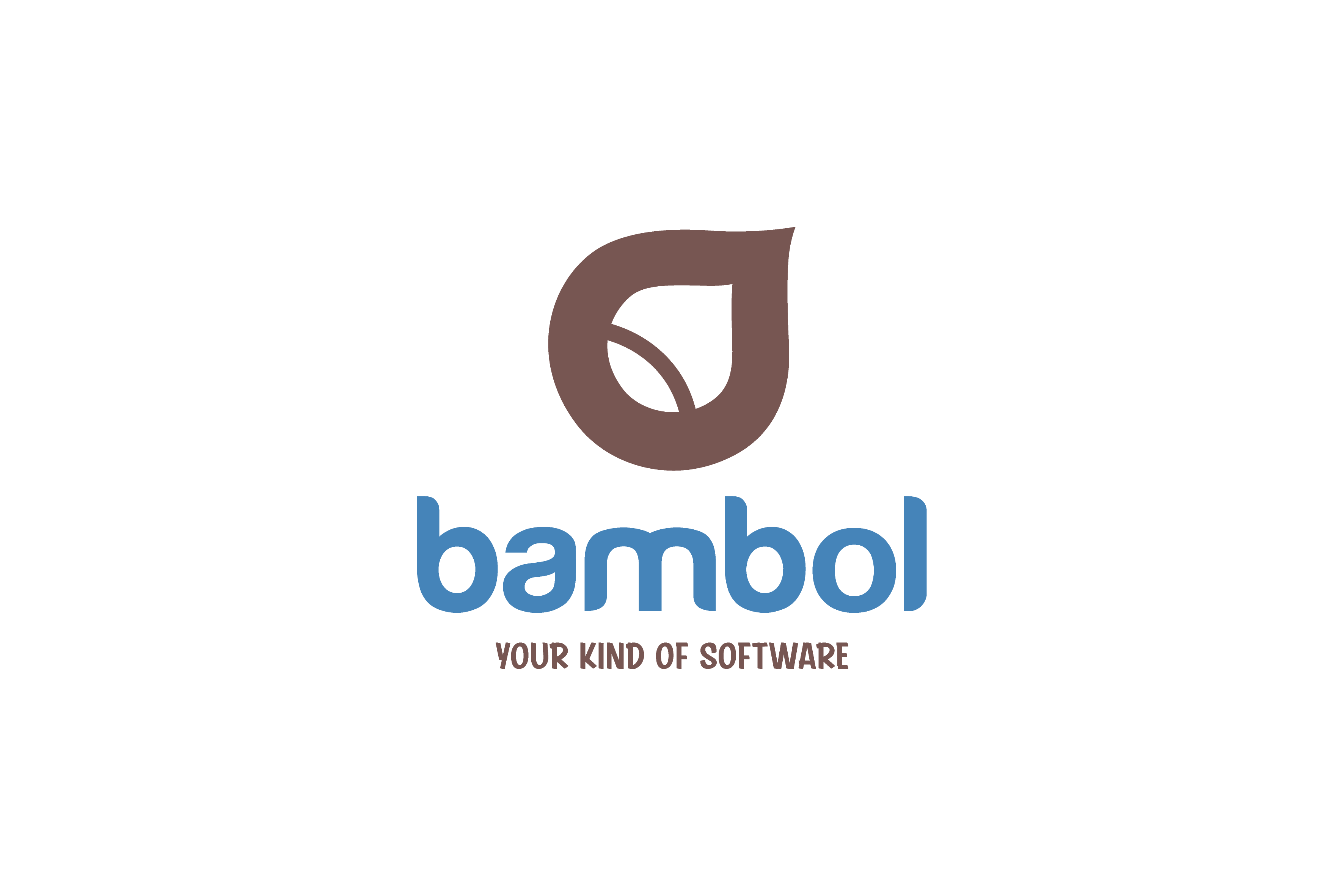 Company Name